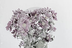 Bouquet of flowers: chrysanthemums on a white background.