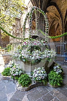 Bouquet of flowers in courtyard of Cathedral of the Holy Cross and Saint Eulalia in Gothic quarter, Barcelona, Spain