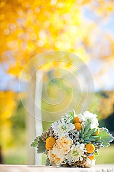 Bouquet of flowers with a fall/autumn background