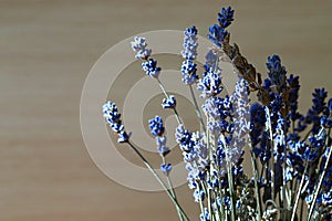 Bouquet of flowers. Fragrant beautiful blue lavender flowers blooming