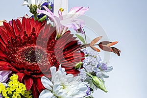 A bouquet of flowers from gerberas, chrysanthemums, lilies. Close-up. Macro shooting.