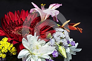 A bouquet of flowers from gerberas, chrysanthemums, lilies. Close-up. Macro shooting. Black background.