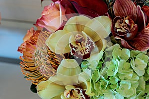 Bouquet of flowers including roses, orchids, pincushion proteas