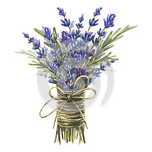 A bouquet of flowers and lavender leaves tied with string with a bow. Watercolor illustration from a large set of