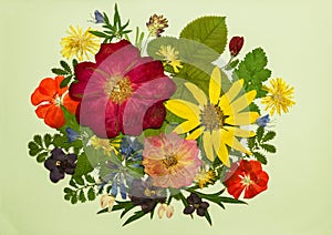 Bouquet of flowers on a light background. Picture from dry flowers.