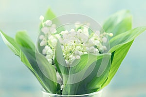 Bouquet of flowers lily of the valley on turquoise rustic table.
