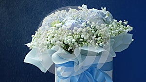 Bouquet of flowers made of hydrangeas and gypsophila on blue background, slow motion of water droplets