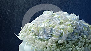 Bouquet of flowers made of hydrangeas and gypsophila on blue background, slow motion of water droplets
