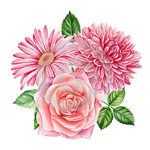 bouquet of flowers, pink dahlia, roes, gerbera isolated white background, watercolor illustration