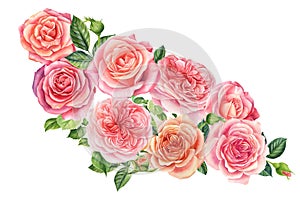 Bouquet of flowers pink roses, isolated white background. Watercolor delicate flowers