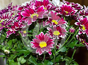 A bouquet of flowers with pink and white petals