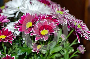 A bouquet of flowers with pink and white petals