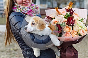 Bouquet of flowers and puppy dog. Girl`s back and holding a small dog