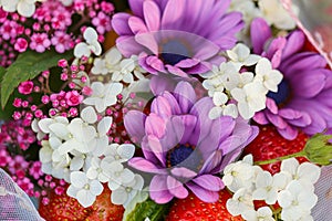A bouquet of flowers and strawberries. Purple, white and pink fresh flowers close-up