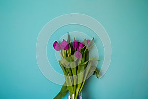 Bouquet of flowers tulips beautiful vibrant leaves of stems on a blue background