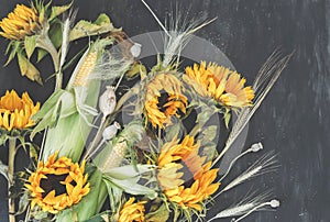 Bouquet of flowers and vegetables: sunflowers, corn, poppies boxes, wheat and oats on dark background. Autumn harvest.