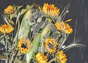 Bouquet of flowers and vegetables: sunflowers, corn, poppies boxes, wheat and oats on dark background. Autumn harvest.