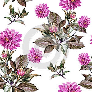 Bouquet flowers, violet dahlia, watercolor, pattern seamless