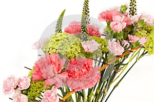 A bouquet of flowers on a white background