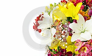 Bouquet of flowers on white background. Copy space. Postcard with place for congratulations