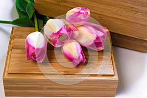 A bouquet of flowers on a white background with wooden crusts. Purple tulips on a wooden box. Place for text. Top view