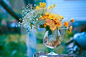 Bouquet with forget-me-not and dandelions