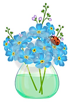 Bouquet of forget-me-not flowers in a glass vase. Ladybird.