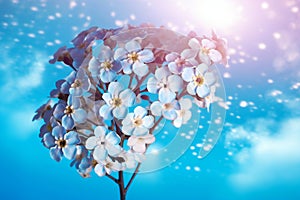 Bouquet of forget-me-nots on blue sky background