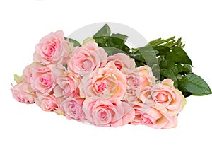 Bouquet of fpink roses photo