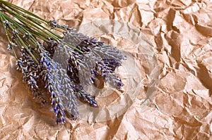 Bouquet of fragrant fresh lavender flowers on beige