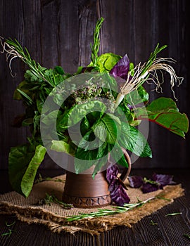 Bouquet of fragrant herbs