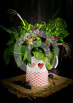 Bouquet of fragrant herbs