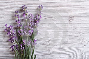 Bouquet of fragrant lavender flowers. floral frame