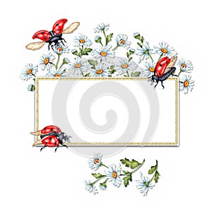 Bouquet frame with daisies and ladybugs in watercolor