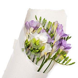 Bouquet of freesia in the paper