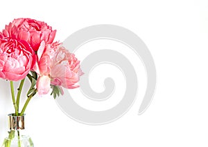 A bouquet of fresh beautiful coral peonies close up on the white background.