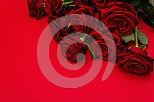 Bouquet of fresh burgundy roses on a matte red foamiran background