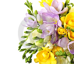 Bouquet of fresh freesia flowers isolated on white