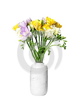 Bouquet of fresh freesia flowers in vase on white