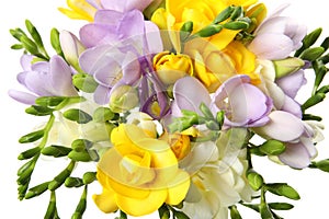 Bouquet of fresh freesia flowers on white background