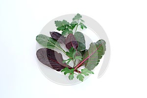 Bouquet of fresh green leaves parsley and Swiss chard or Mangold isolated on white background.