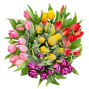 Bouquet of fresh multicolor tulips