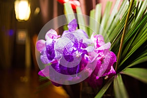 Bouquet with fresh orchidea