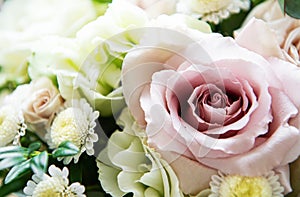 Bouquet of fresh pink and white roses