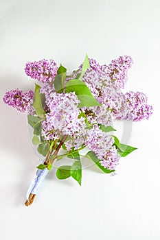 bouquet of fresh purple lilacs tied with a ribbon on a white background