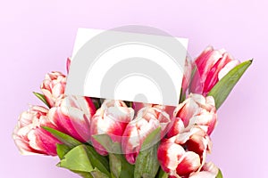 Bouquet of fresh red-white tulips with a card for your text. Gift for romantic date. Tender spring flowers. Bunch of tulips for