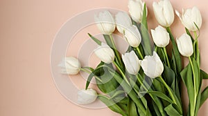 Bouquet of fresh spring white tulips lies on a light pastel background, Copy space