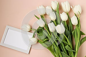 Bouquet of fresh spring white tulips lies on a light pastel background, Copy space