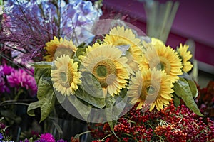 Bouquet of of fresh sunflowers, autumn flowers, berries, rustic summer, fall, vivid background. Romantic greetings card
