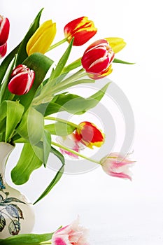 Bouquet of the fresh tulips